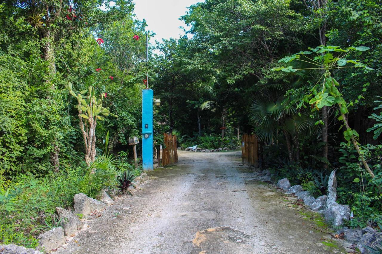 Chalet Cavelands In The Jungle Chemuyil
