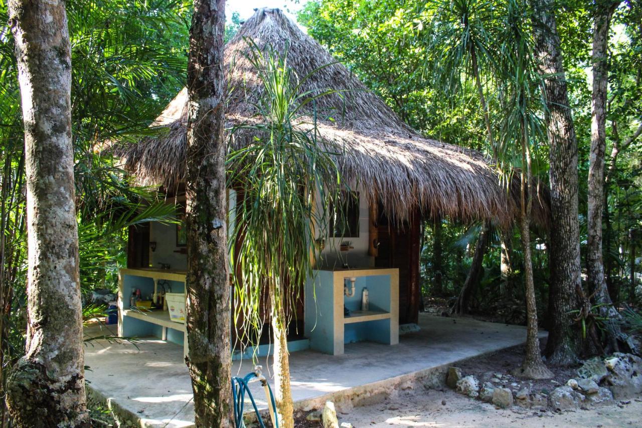 Cavelands In The Jungle Chalet Chemuyil