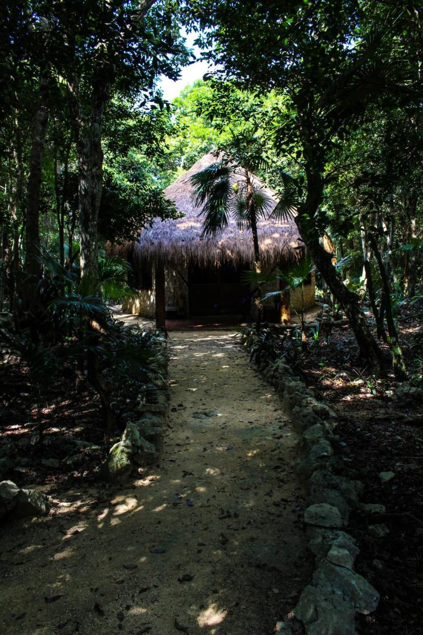 Cavelands In The Jungle Chalet