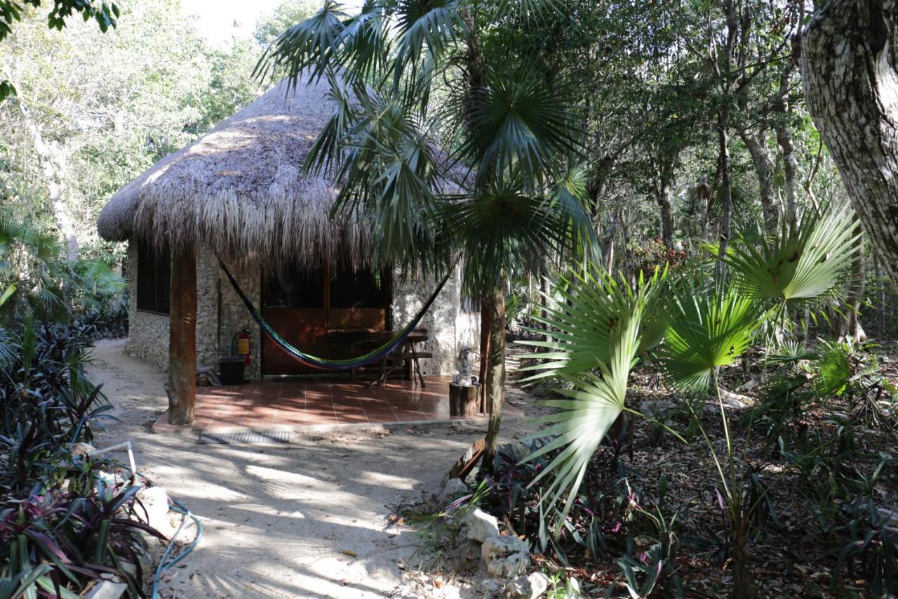 Chalet Cavelands In The Jungle Chemuyil