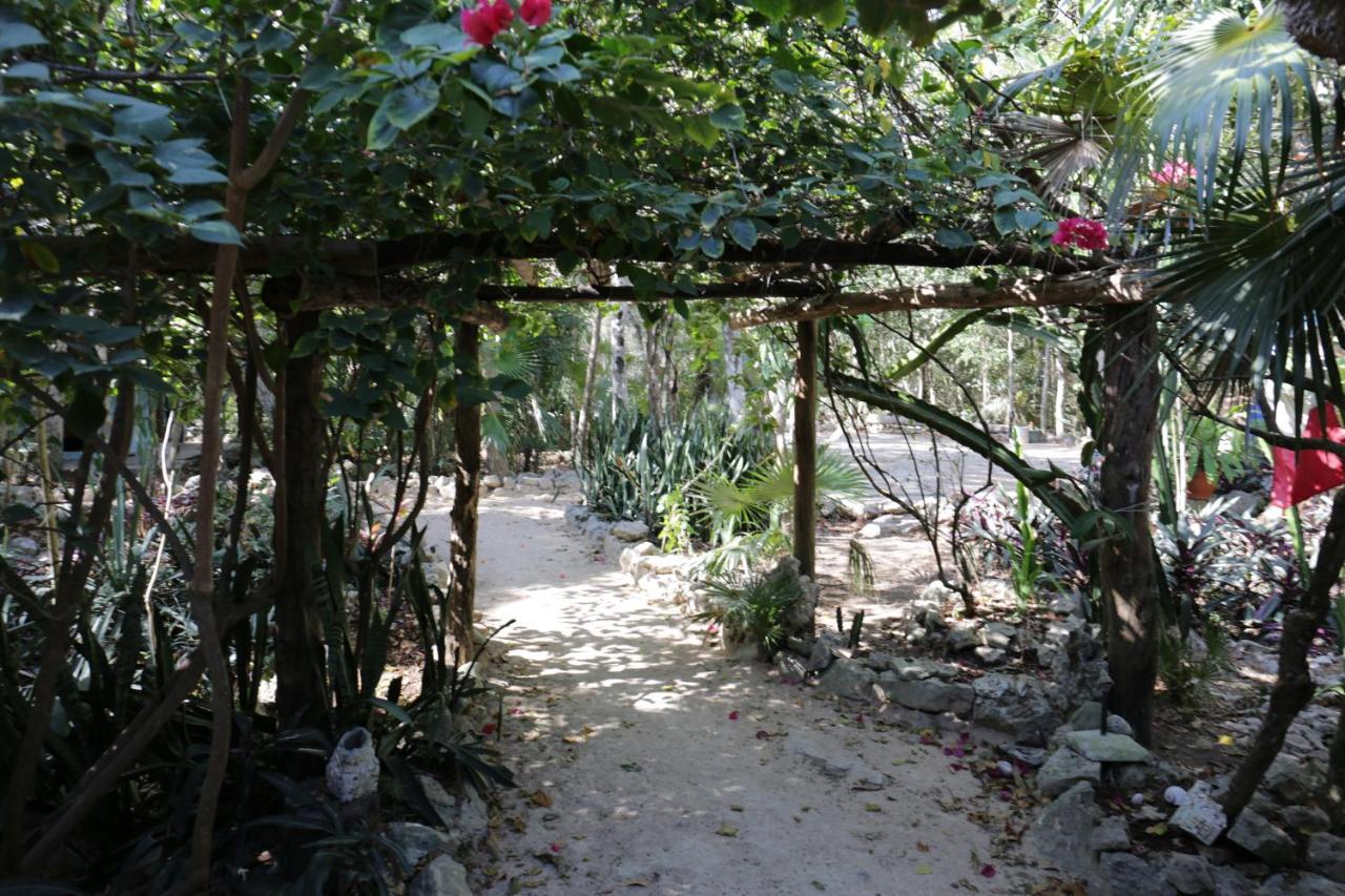 Chalet Cavelands In The Jungle Chemuyil
