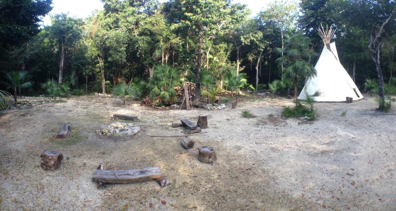 Chalet Cavelands In The Jungle *
