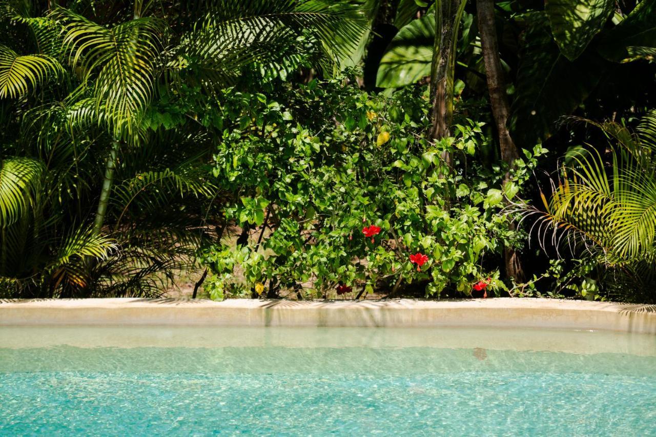 Pueblito Selva Lodge