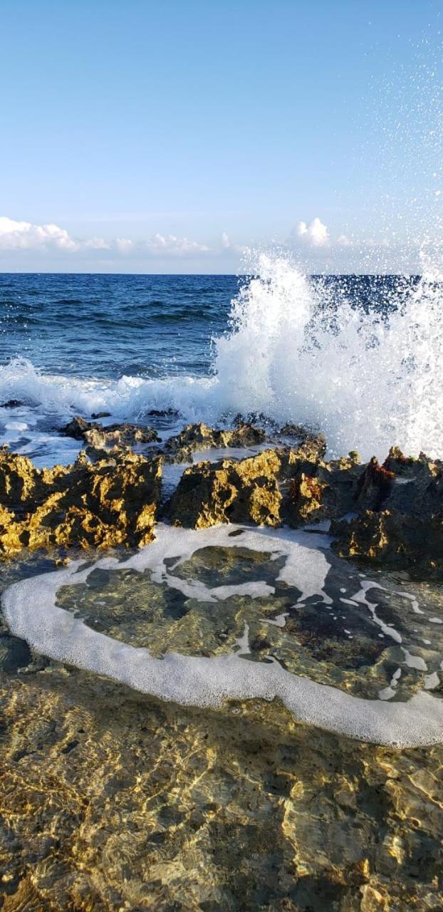Susana Beach Front House Bed and breakfast Puerto Aventuras