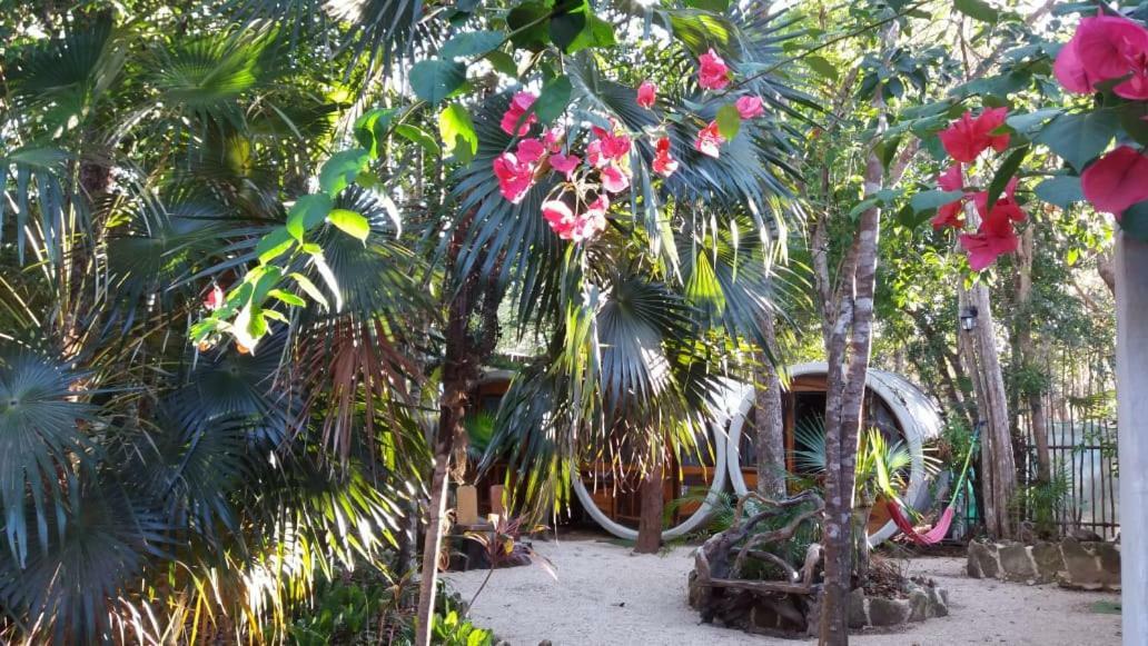Hostel Tubo *