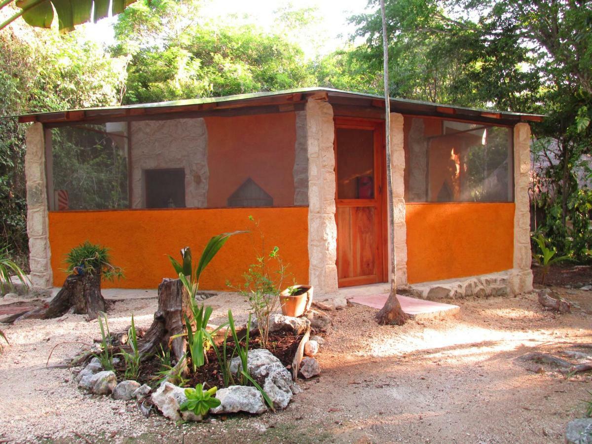 Organic Yoga Mexico