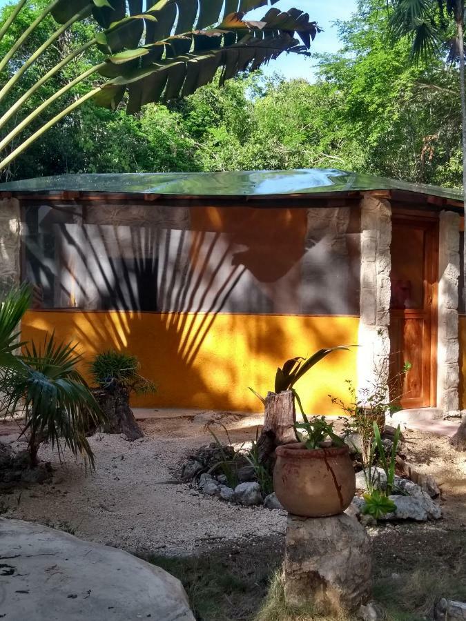 Organic Yoga Mexico * Akumal