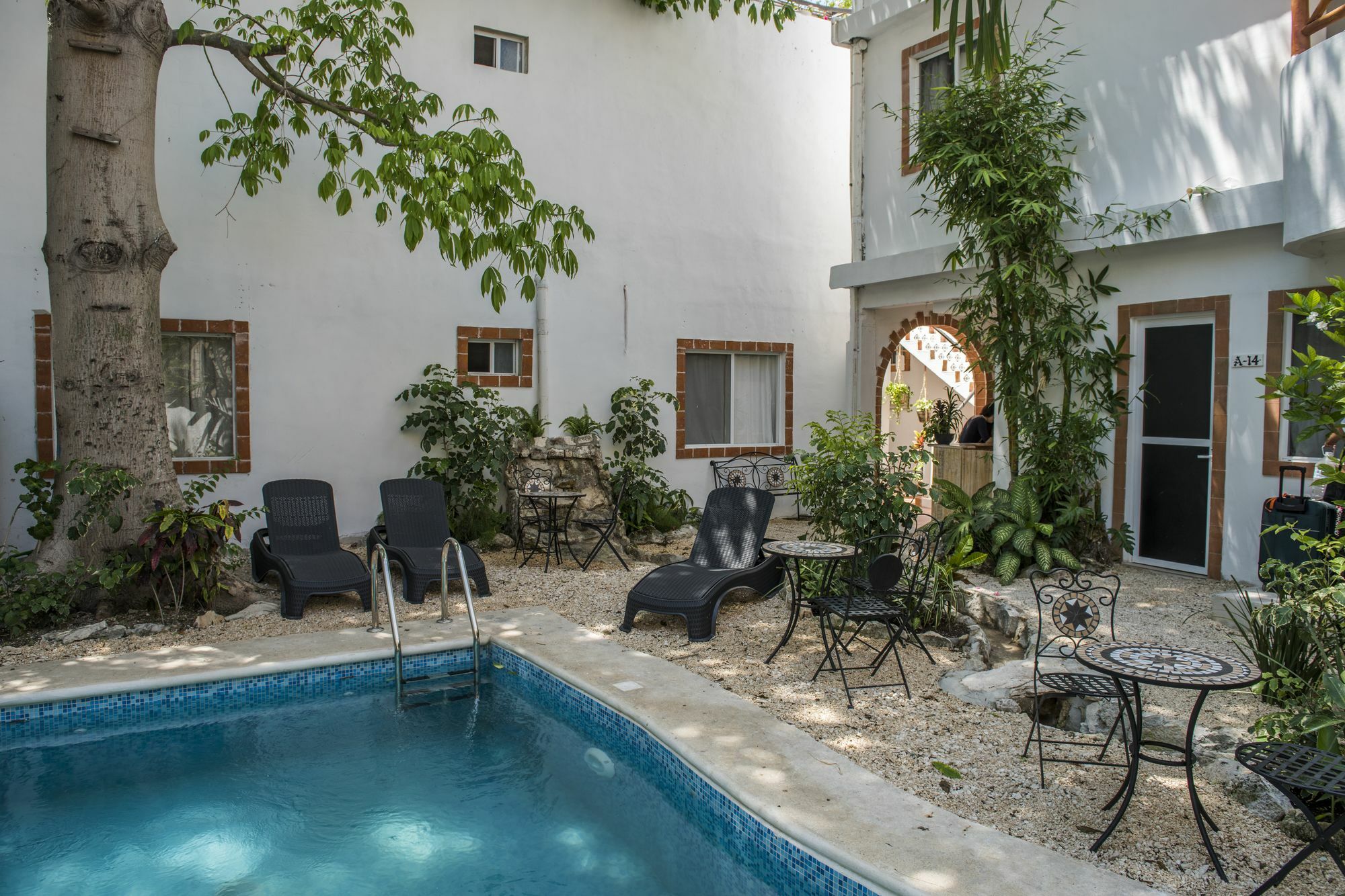 Alejandra Boutique