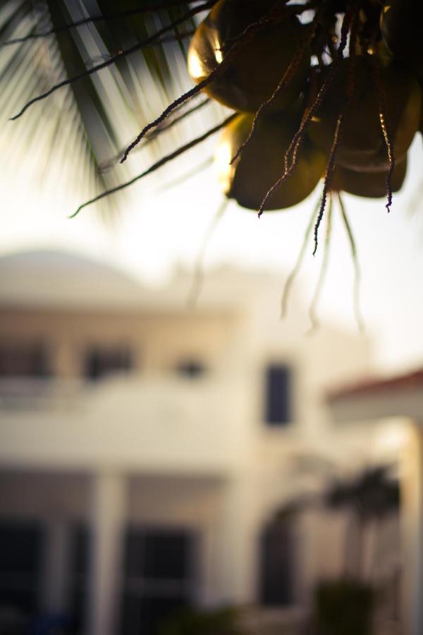 Villas Flamingo