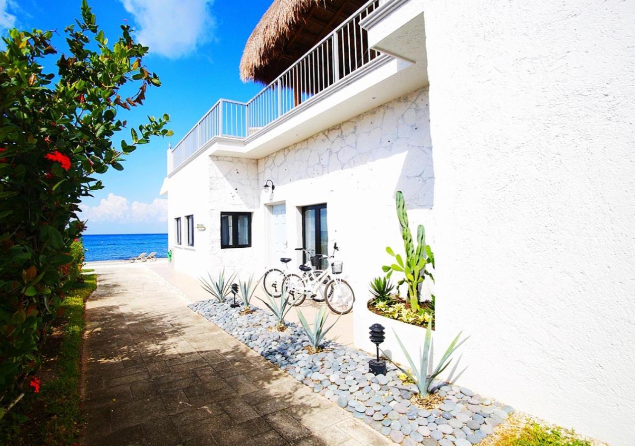 The Queen Of House -luxury Beachfront Villa- Million Dollars View * Cozumel