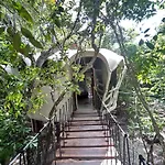 Ikalar