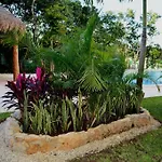 Punta Estrella