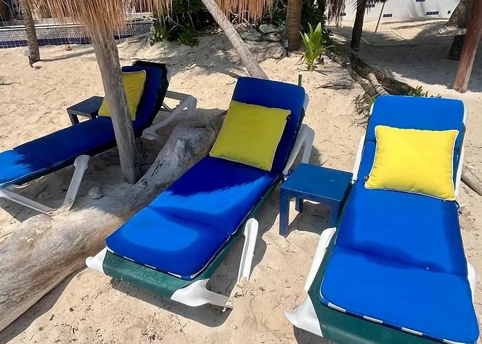 Beachfront Hammock Heaven