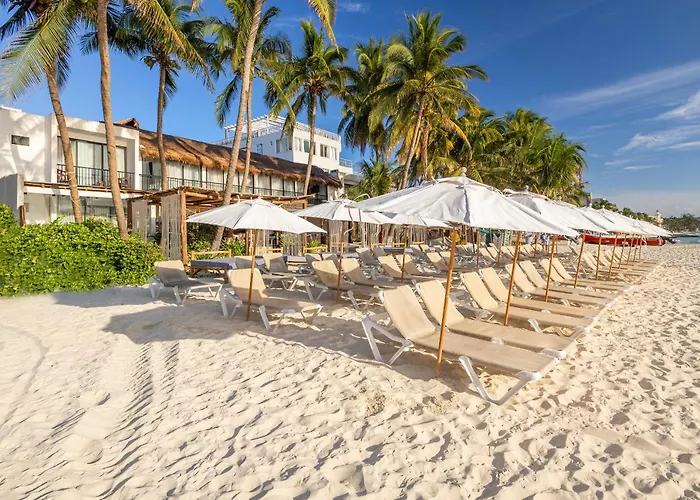 Areia Playa Del Carmen - Beach Front Hotel Boutique