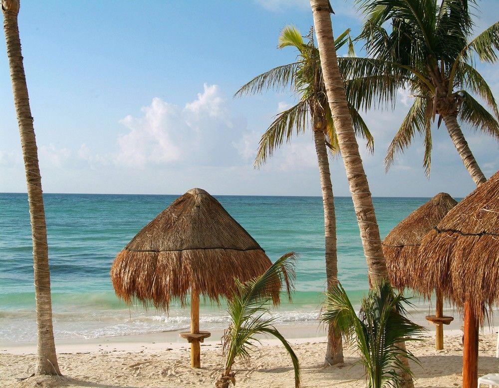 Hotel & Club 5*