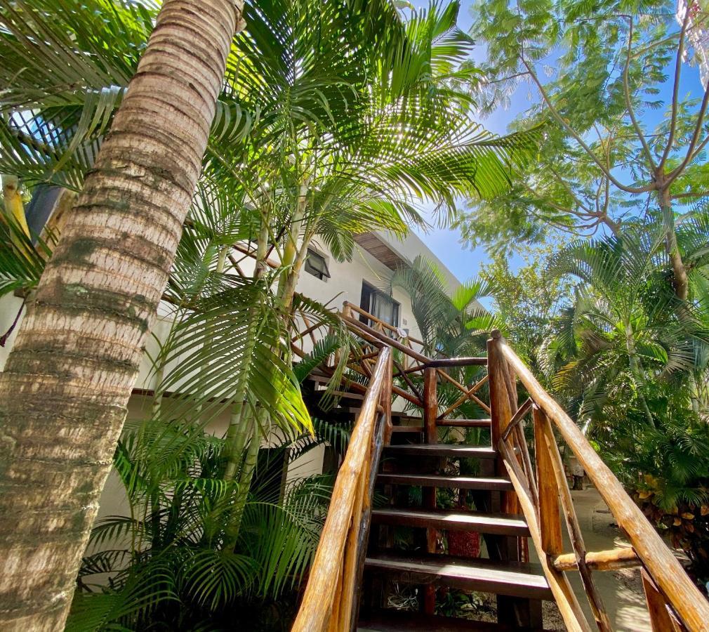 Hotel Pacha Boutique 4*