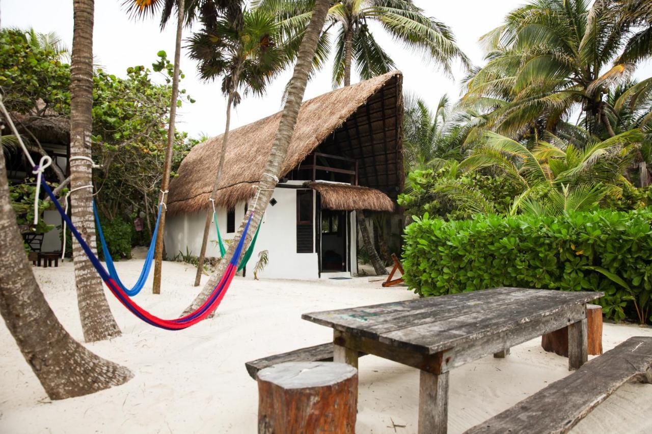 Playa Selva Alojamento *