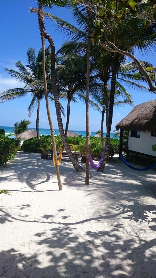 Playa Selva Alojamento