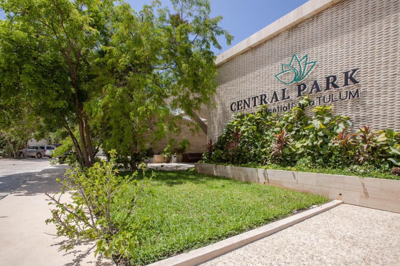 Ideal Retreat In Tulum, & Gym Free! Park Apartment