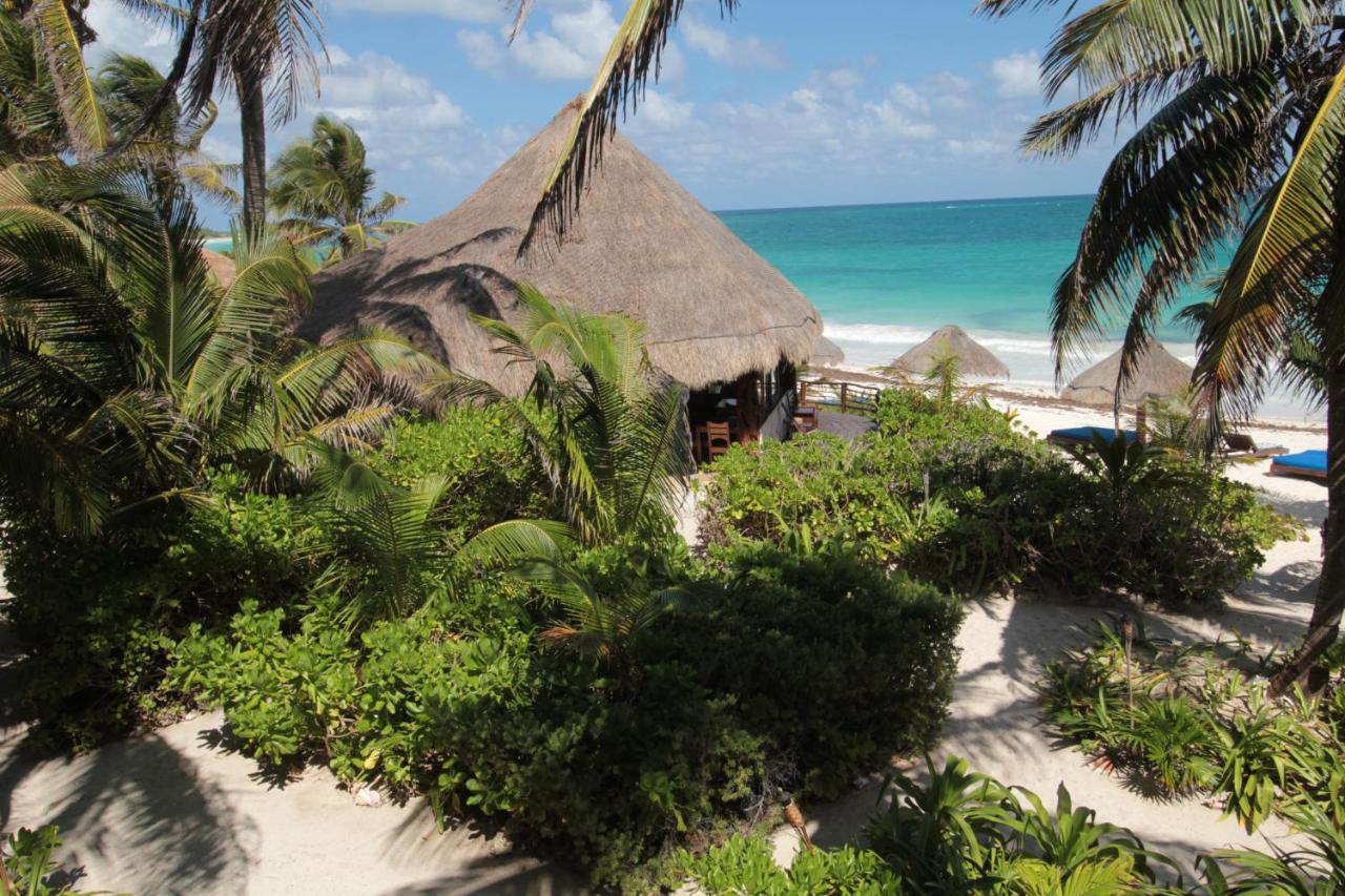 Sol Caribe