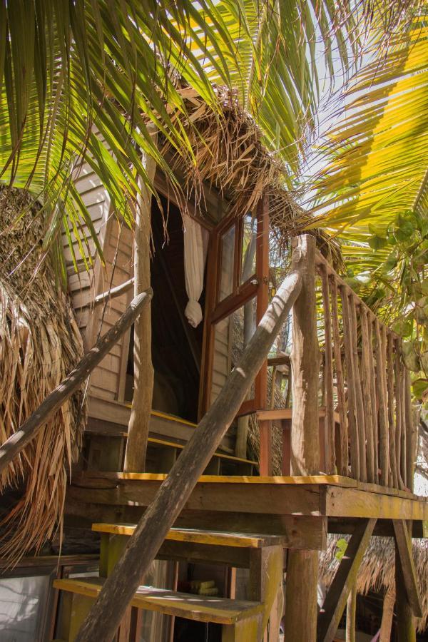 Chavez Eco And * Tulum