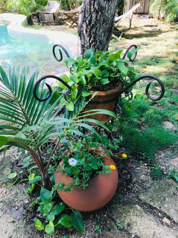 Verdeamar Eco Bed and breakfast
