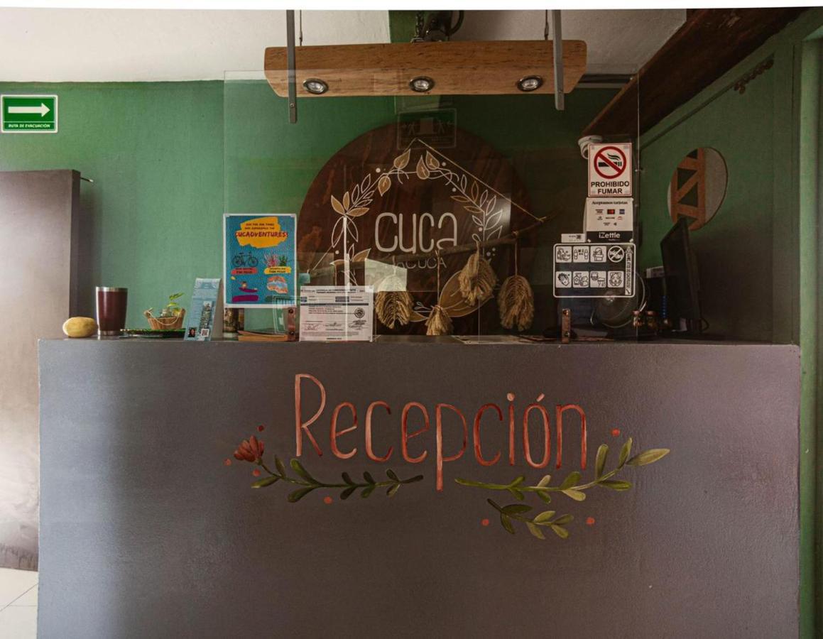 Cuca Macuca Hostel