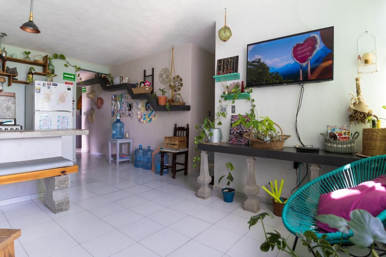 Hostel Cuca Macuca *
