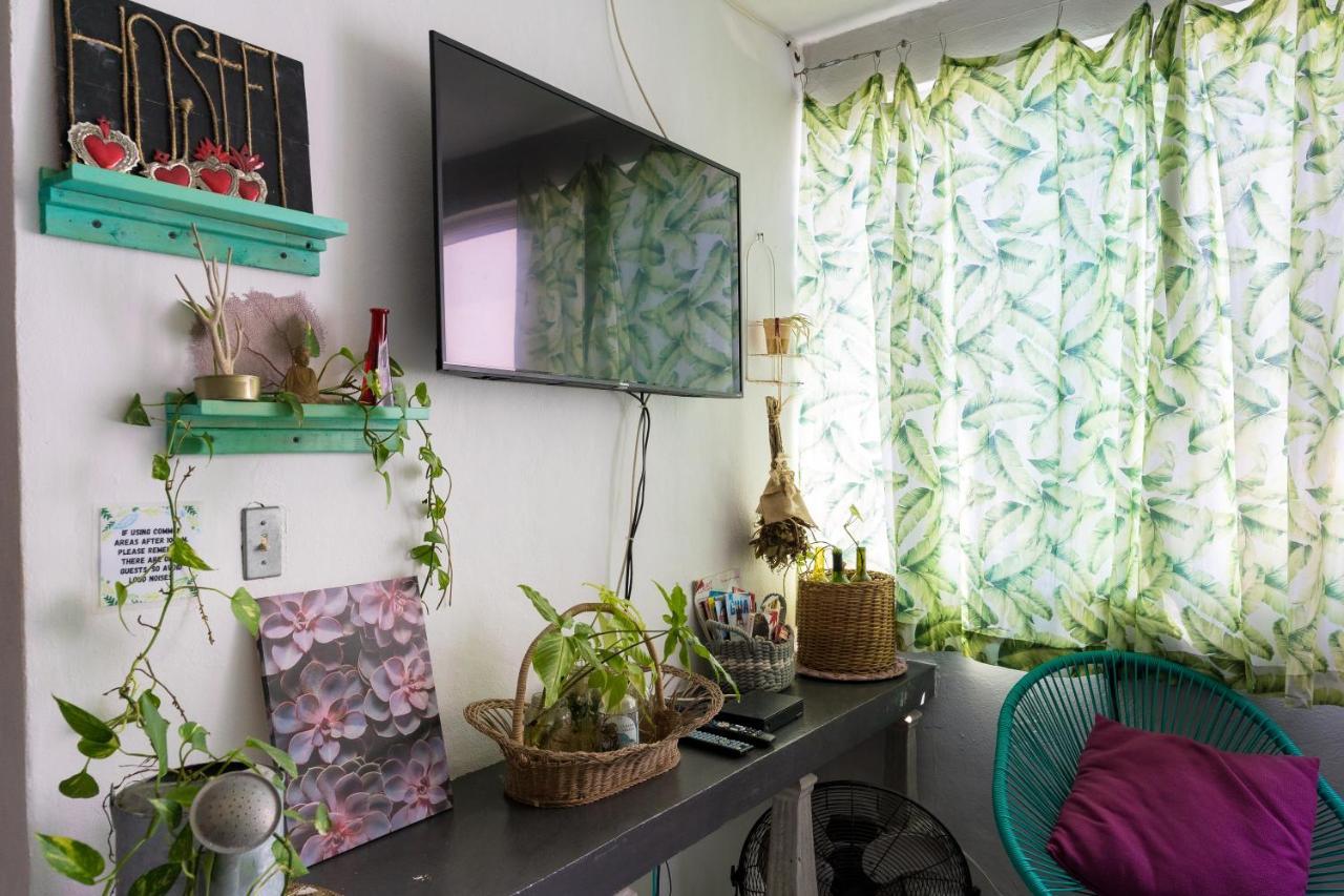 Hostel Cuca Macuca Puerto Morelos