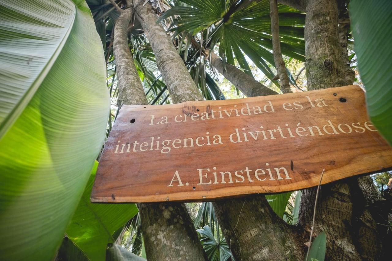 Wakax Hacienda - Cenote & Boutique - Small Luxury Of The World Tulum