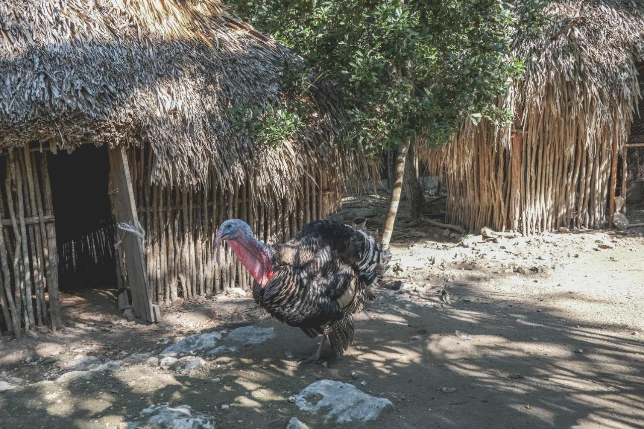 Wakax Hacienda - Cenote & Boutique - Small Luxury Of The World 5* Tulum