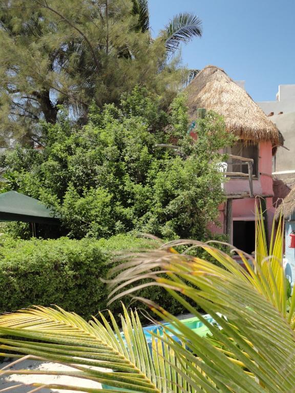 Hotel Acamaya Reef