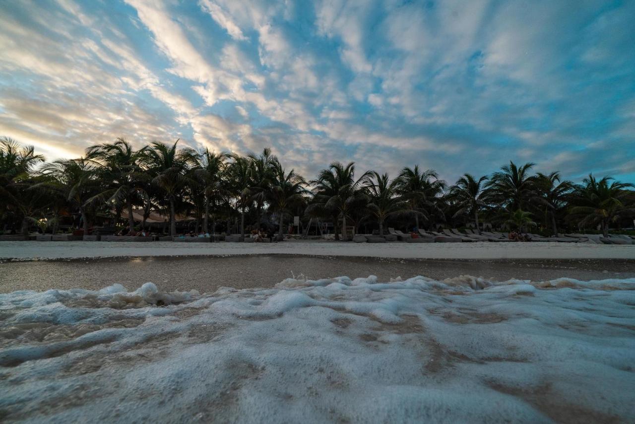 Mia Tulum Beachfront Resort - Ocean View Suites And Beach Club Hotel