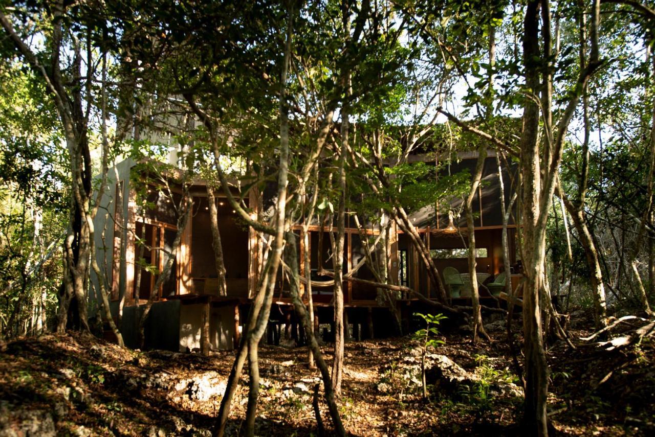 Pousada Ojo De Arbol, Boutique In The Real Jungle *