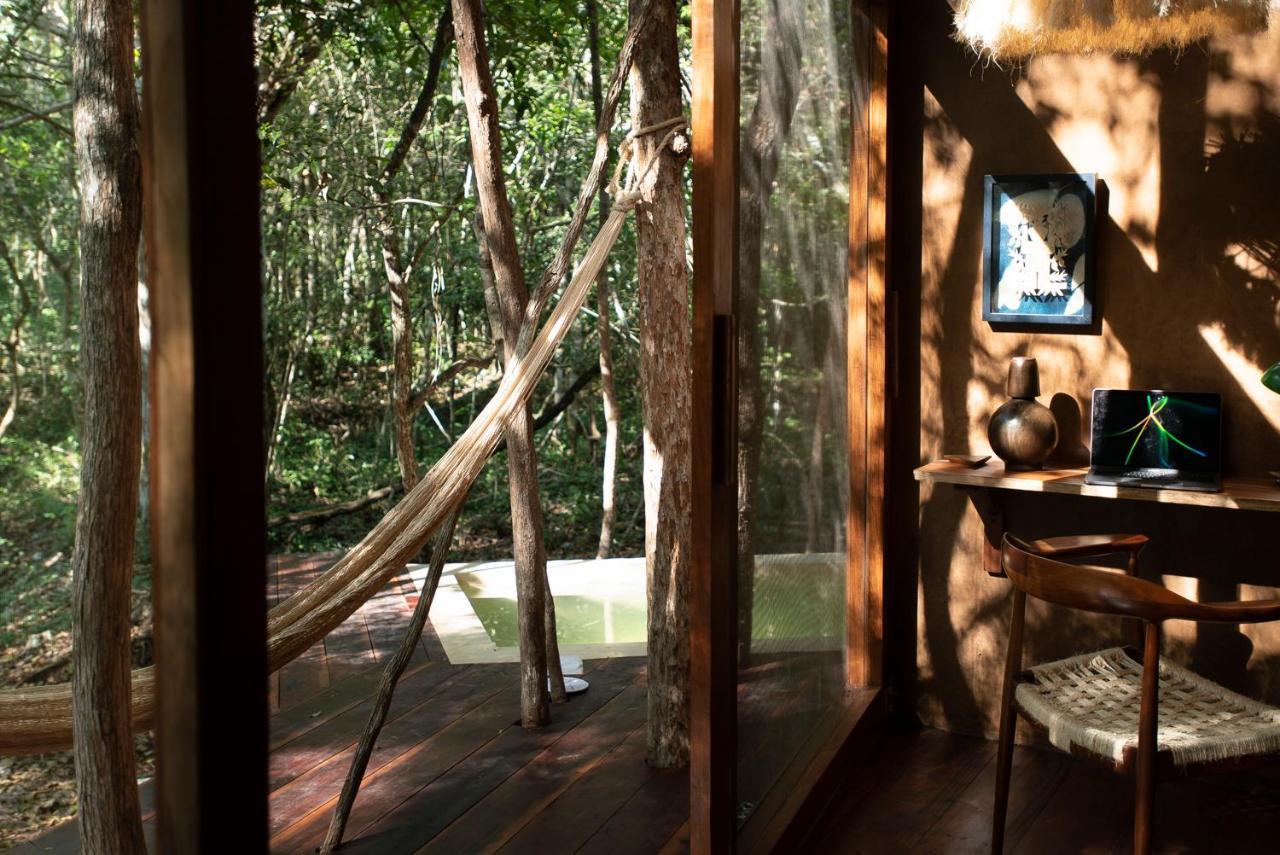 Pousada Ojo De Arbol, Boutique In The Real Jungle