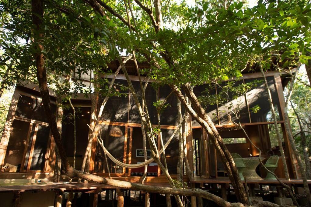 Ojo De Arbol, Boutique In The Real Jungle Pousada Tulum