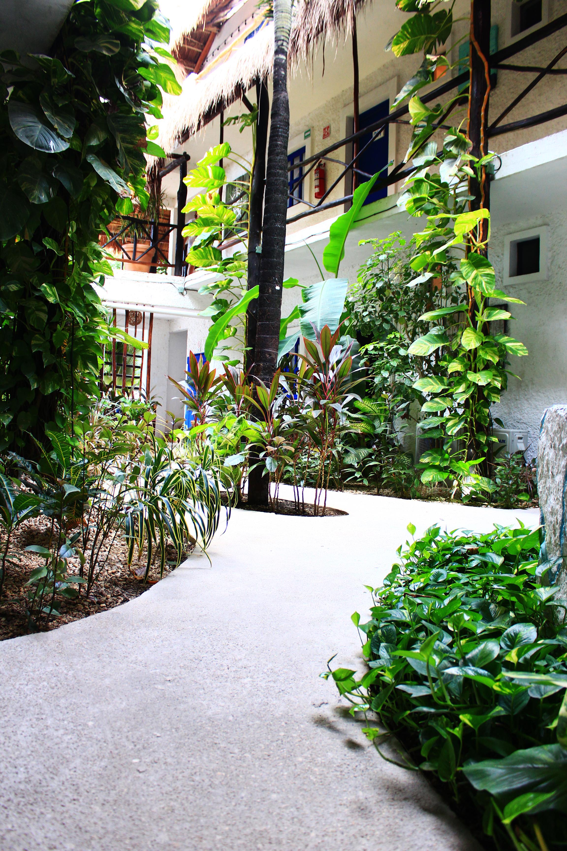 Hotel Luna Maya