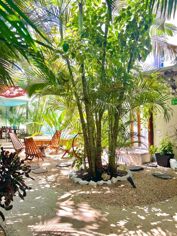 Pacha Boutique Tulum
