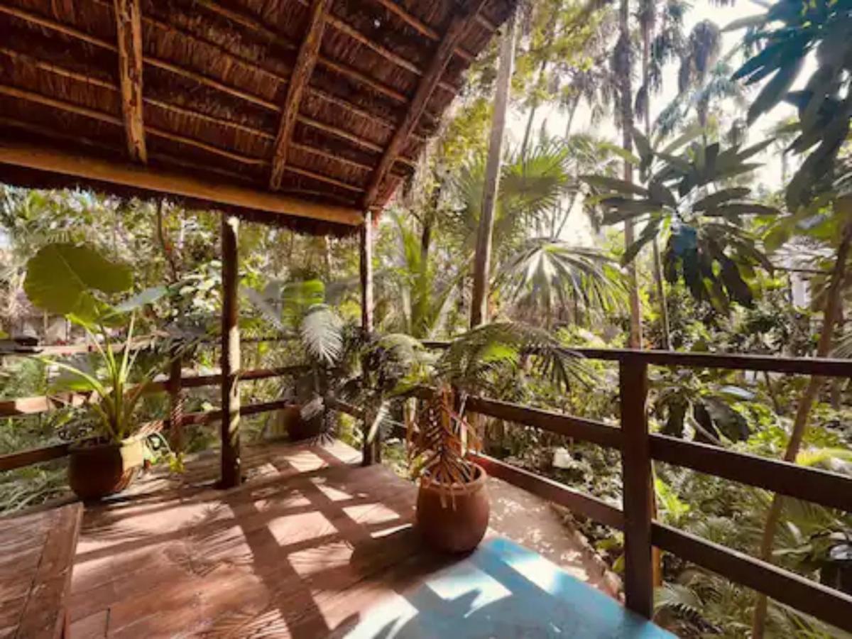 Dos Ceibas Tulum - Massage & Yoga Inclusive Hotel