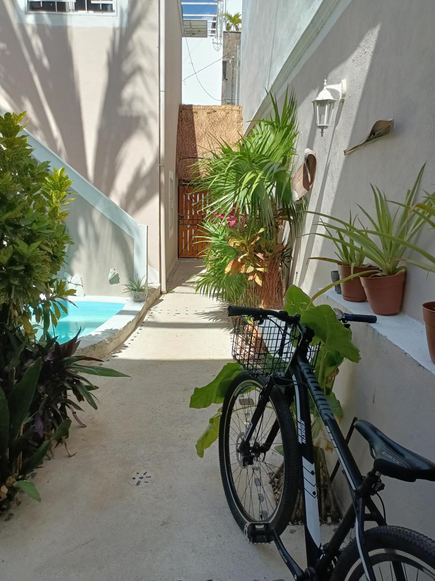Kika Guest house Playa del Carmen