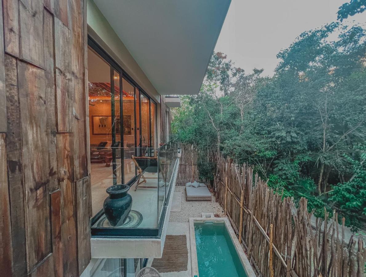 Kataleya By Zaazil - New Luxury Amazing Combo For Up To 20 People - Penthouse Aptartment , Private Pool, Terrace , Roof And Hot Tub In Luum Zama In The Jungle Apartment *