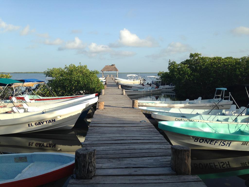 La Conchita Punta Allen