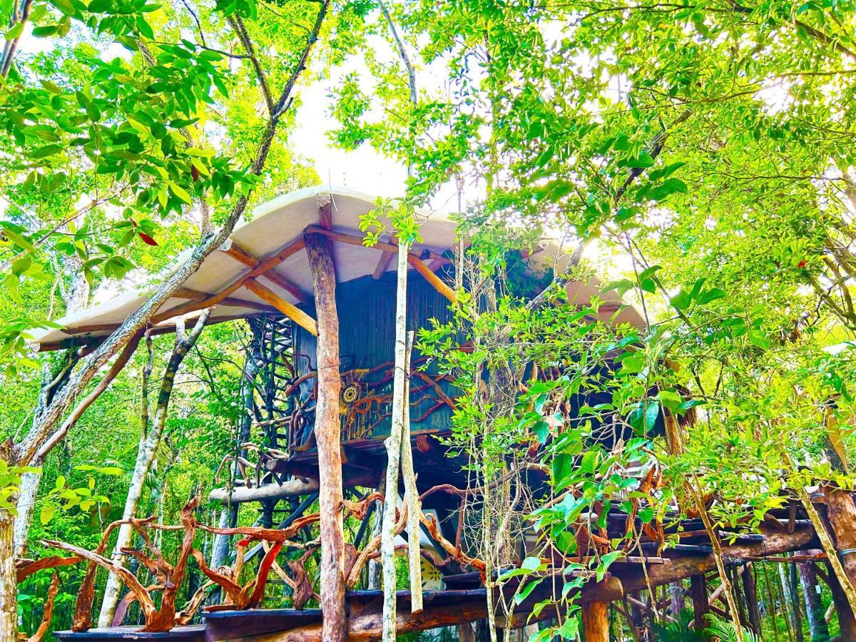 Campsite Ikalar Akumal