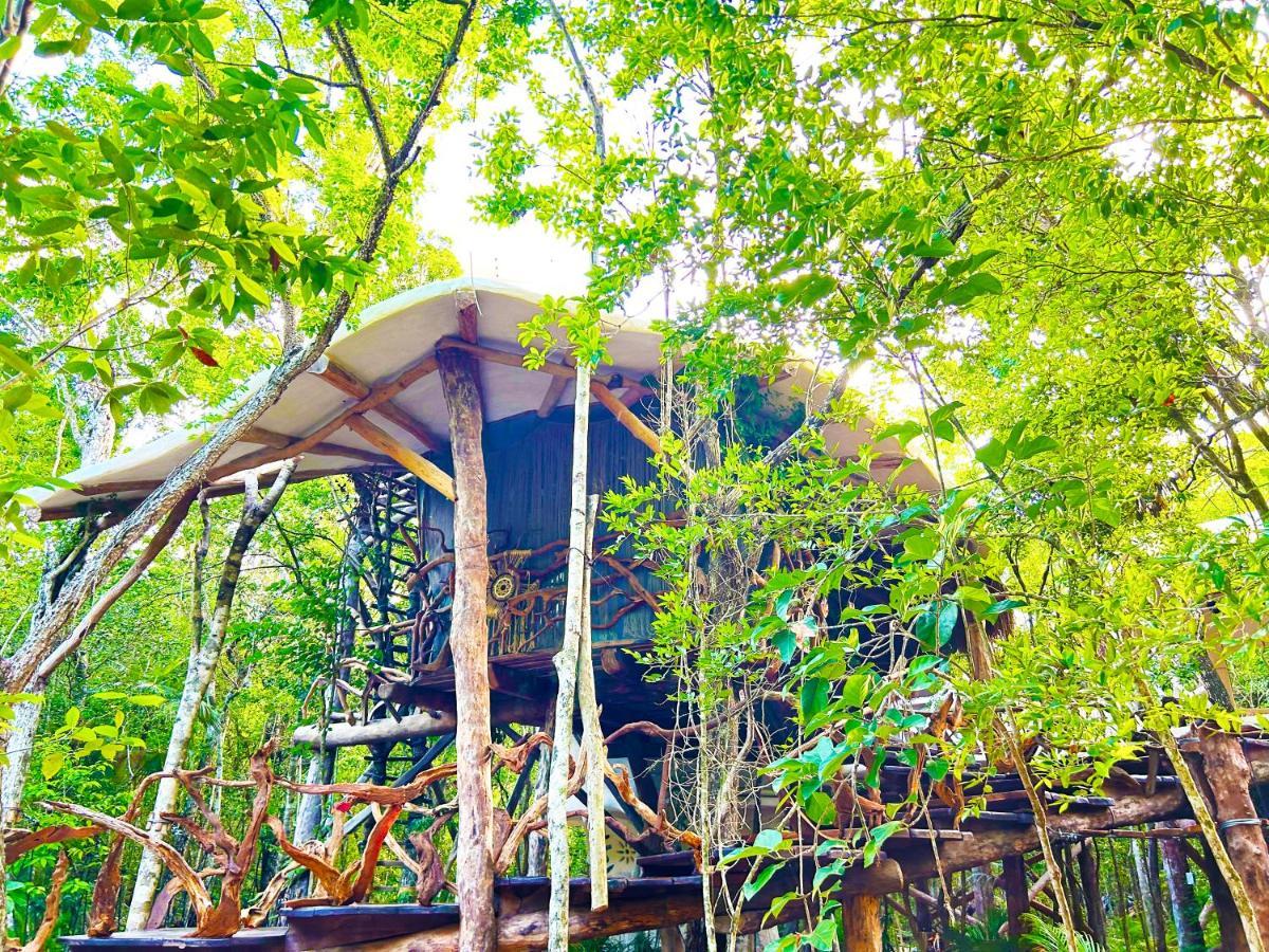 Campsite Ikalar Akumal