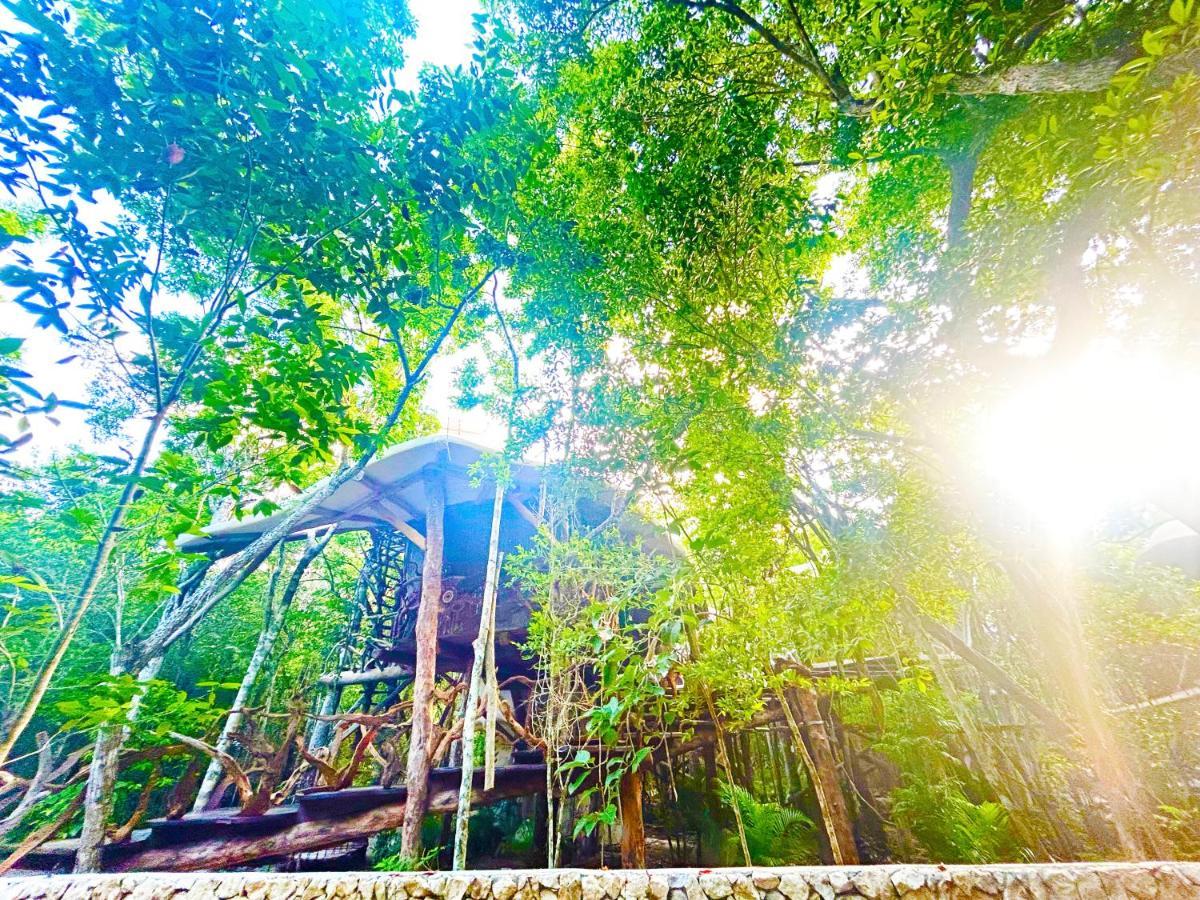 Ikalar Akumal