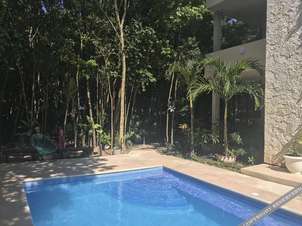 El Vivero
