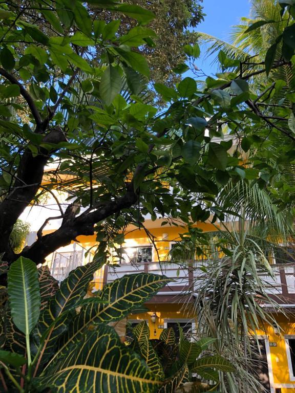 Maya Del Centro -adults Only- Hotel