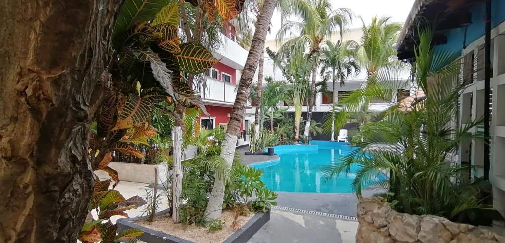 Hotel Maya Del Centro -adults Only-