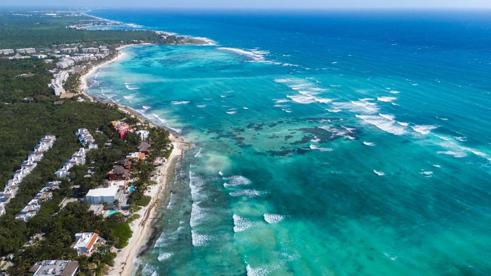 Apartment Beachfront Coral Vista