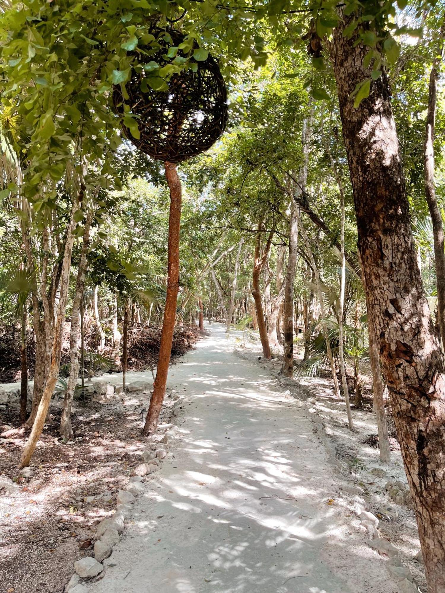 Kataleya Tulum: Luxury Jungle Penthouse With Private Pool Apartment *